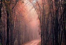 乐鱼体育：外媒：美国奥委会调查冬奥项目性骚扰事件环球时报.