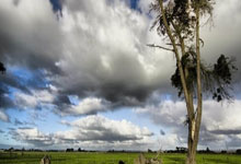 科索沃-冰岛，雷克斯贝卡伊破门，德洛瓦建功.