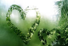 科索沃-冰岛，雷克斯贝卡伊破门，德洛瓦建功.