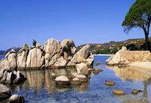 乐鱼体育：[中超]上海海港战胜深圳新鹏城继续领跑积分榜.